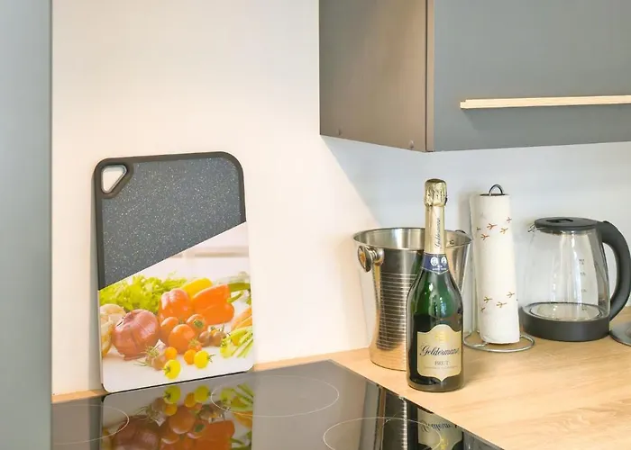 Schlossberg * Friburgo de Brisgovia