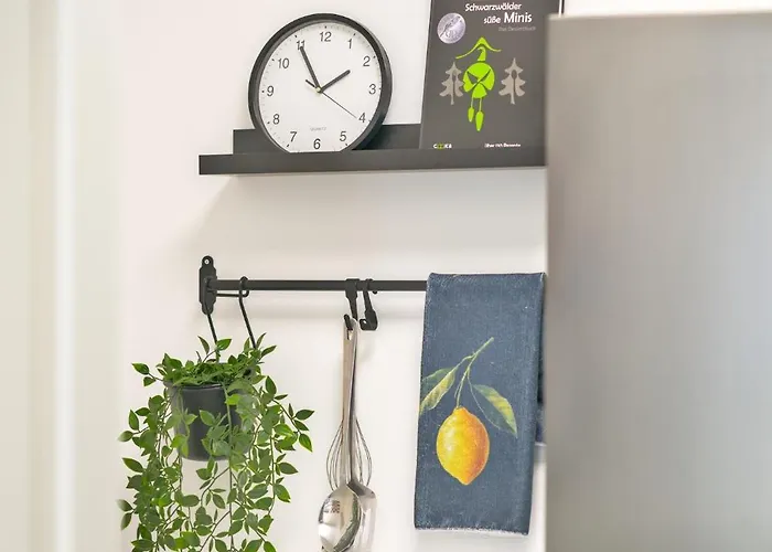 Schlossberg Freiburg im Breisgau